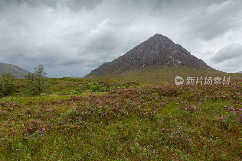 苏格兰格伦科的Buachaille Etive Mor山